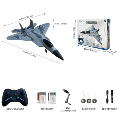 RC F22 Raptor, ferngesteuertes 2-Kanal-2,4-GHz-Flugzeug, einfach zu fliegendes Segelflugzeug für Kinder und Anfänger