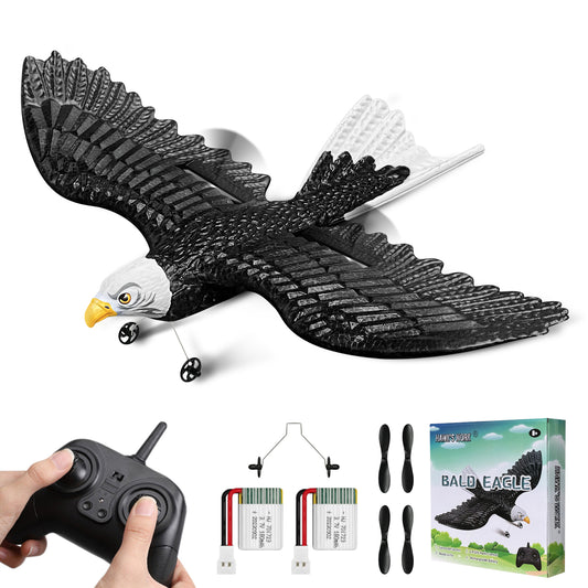 RC Eagle, 2 Channel 2.4 GHz Remote Control Airplane, Easy to Fly Glider for Kids & Beginners