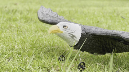 RC Eagle, ferngesteuertes 2-Kanal-2,4-GHz-Flugzeug, einfach zu fliegendes Segelflugzeug für Kinder und Anfänger 